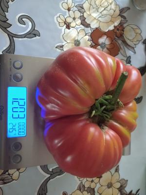 Прикрепленное изображение: IMG_20210719_162248.jpg